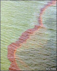 Oil off the Louisiana coast, 22 May