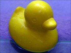 Rubber duck (Image: BBC)