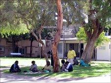 Aboriginal people gather beneath a tree in Alice Springs (file photo)