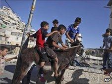 Palestinian boys play with a donkey in Silwan, East Jerusalem, 22 June