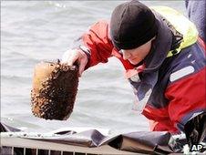 Urns containing human ashes discovered in Lake Zurich