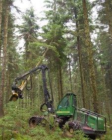 Timber cutting