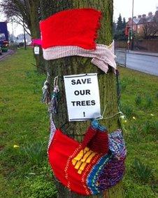 Protest sign objecting to plans to fell lime trees in Hereford