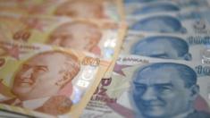 Turkish lira bank notes