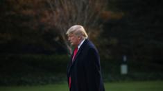 President Donald Trump leaves the Oval Office and walks toward Marine One on the South Lawn of the White House on 14 November
