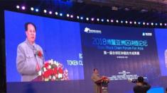 Mr Xu appears at a technology conference dressed as Chairman Mao at the Boao Blockchain Forum in Hainan Province China, 28 May 2018
