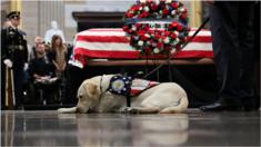 Sully visits Bush coffin at US Capitol