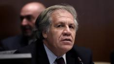 Luis Almagro, secretario general de la OEA