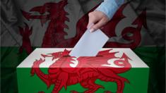 Ballot box with Wales flag