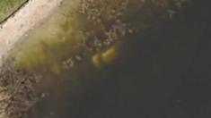 A Google Maps image of a car in a pond where a missing man's remains were found