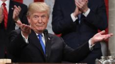 US President Donald Trump delivers his State of the Union address to a joint session of the US Congress.