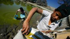 Niños sacando agua de un lago en México.