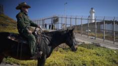 A Border patrol agent on horseback at the US-Mexico border fence, 20 November 2018