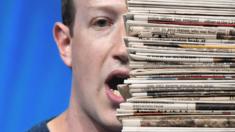 Zuckerberg and papers