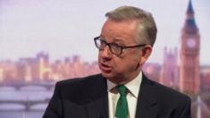 Michael Gove speaking on The Andrew Marr Show