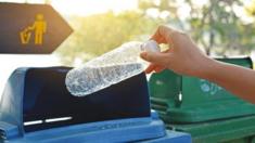 Plastic bottle being put in bin