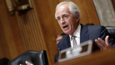 Bob Corker