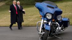 President Donald Trump and Vice President Mike Pence walk together on their way to greet Harley Davidson executives on the South Lawn of the White House, February 2, 2017 in Washington, DC. President Trump is meeting with Harley Davidson executives on Thursday afternoon.