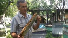Гиви Никуашвили