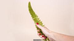 Trong nhiều thập niên các nhà nghiên cứu cho rằng đàn ông có ham muốn tình dục nhiều hơn đàn bà (Ảnh: Olivia Howitt)