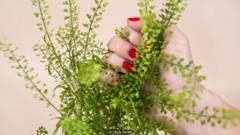 Phim ảnh khiêu dâm cho phụ nữ ngày càng được ưa chuộng (Ảnh: Olivia Howitt)