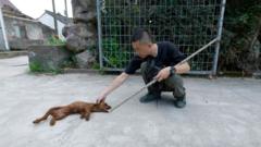 在中国，饲养宠物的人数近年来快速上升。这股热潮催生了新的“宠物侦探”行业。
