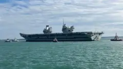 The large carrier at sea next to tug boats