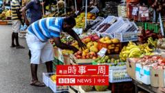 斯里兰卡首都科伦坡某菜市场的果菜摊（25/8/2022）