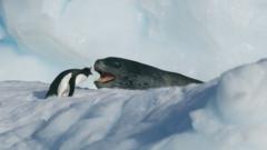 Seven Worlds, One Planet: Have a look at the stunning images from Sir ...