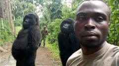 Na fotografiji se vidi da gorile pokušavaju da imitiraju ljude