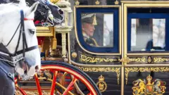The King in the royal carriage