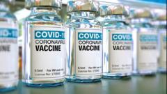 What is a vaccine and how do they fight a virus?