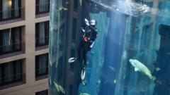 A person diving into the AquaDom tank in Berlin with a shark in the background