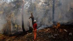 A volunteer stands by a wildfire near Marmaris, Turkey