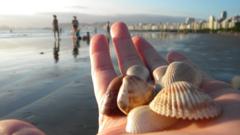 Mão segurando conchas em uma praia