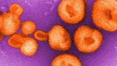Chapare vírus é da família dos arenavírus, que inclui o Lassa vírus e o Machupo vírus