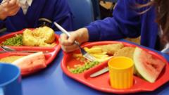 school-meal
