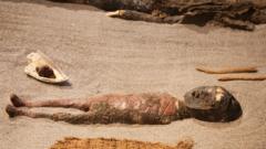 Chinchorro mummy of a baby on display at the San Miguel De Azapa Archaeological Museum