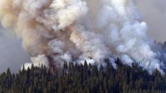 Wildfire in Yosemite national park