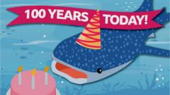 shark-eats-birthday-cake