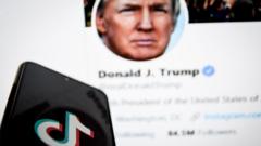 Графика Трампа/TikTok