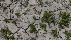 drought-italy-dry-riverbeds