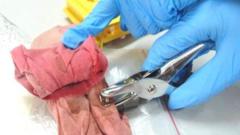 Ученый собирают ДНК с прокладки