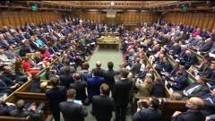 MPs Speak Welsh In Parliamentary Debate For First Time - BBC News