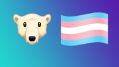 Polar bear and transgender flag