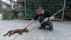 Gặp gỡ các thám tử thú cưng của Trung Quốc