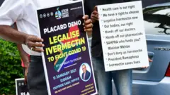 Getty Images Participants protest during the Legalise Ivermectin to fight COVID-19 demonstration on January 11, 2021