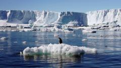 과학자들은 신속하게 조처하지 않는 한 해수면이 2100년 말까지 2m까지 상승할 수 있다고 경고한다
