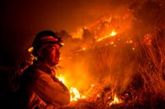 Global Warming Driving California Wildfire Trends - Study - BBC News