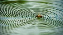 Your pictures on the theme of 'ripples'